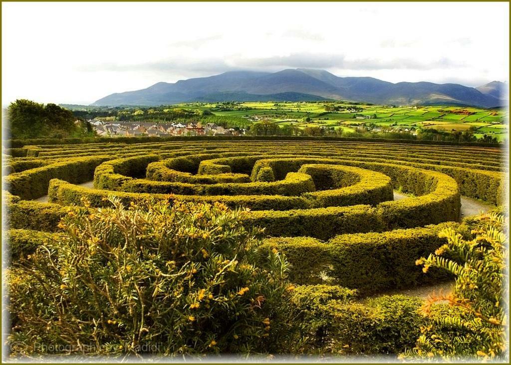 Crotlieve Barn Villa Rostrevor Exterior foto